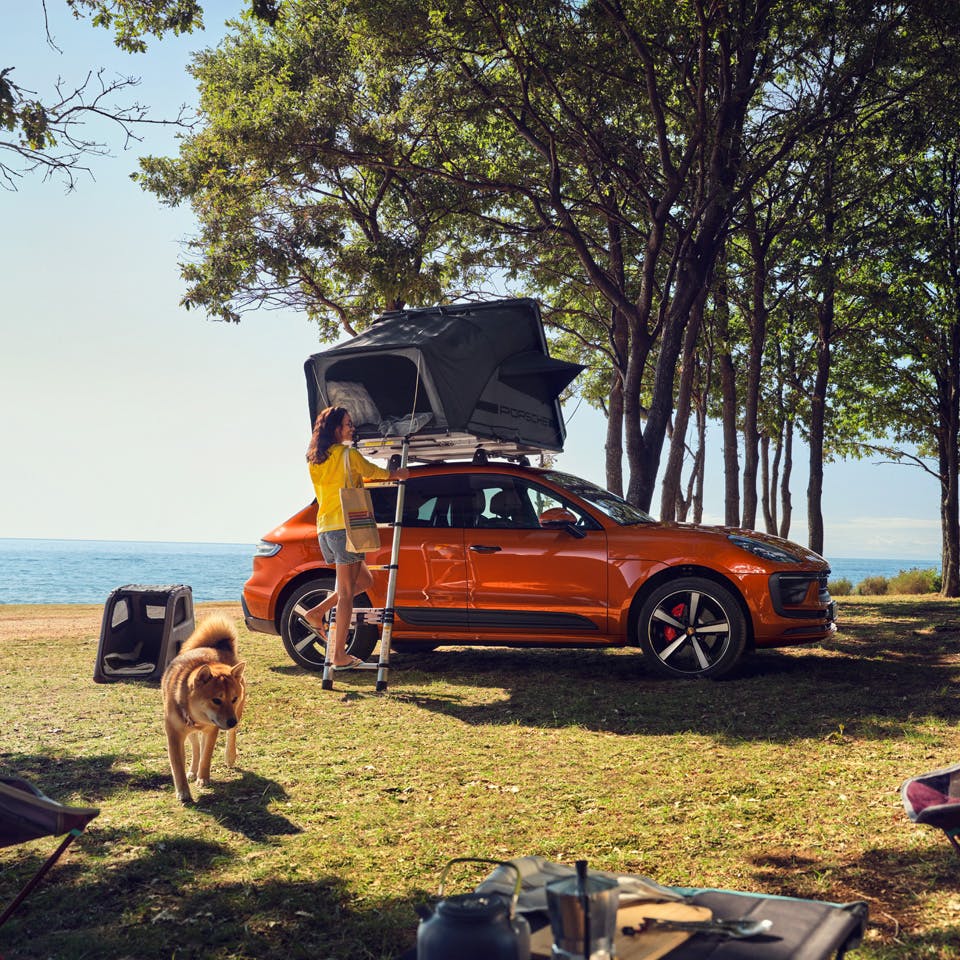 Porsche dog clearance bed