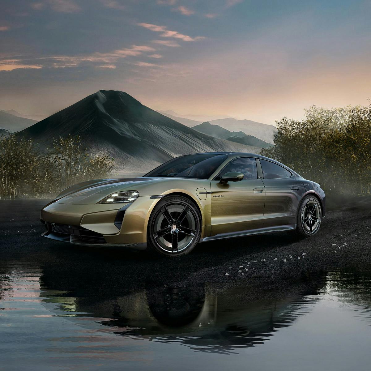 Celestial Jade, standing on wet ground with mountain landscape and trees in the background.