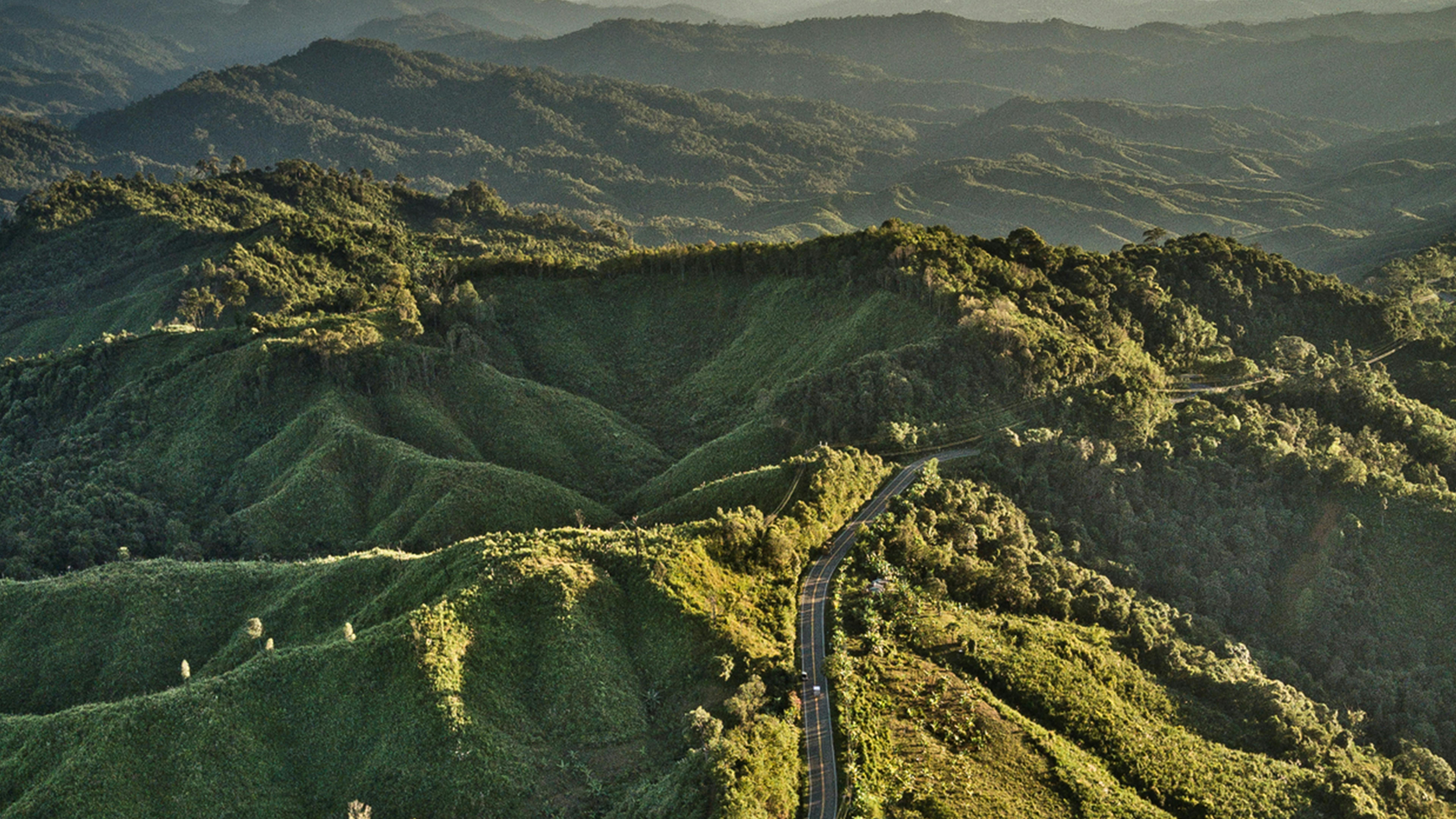 View over a wide, Green landscape with forest and mountains and a road crossing it.