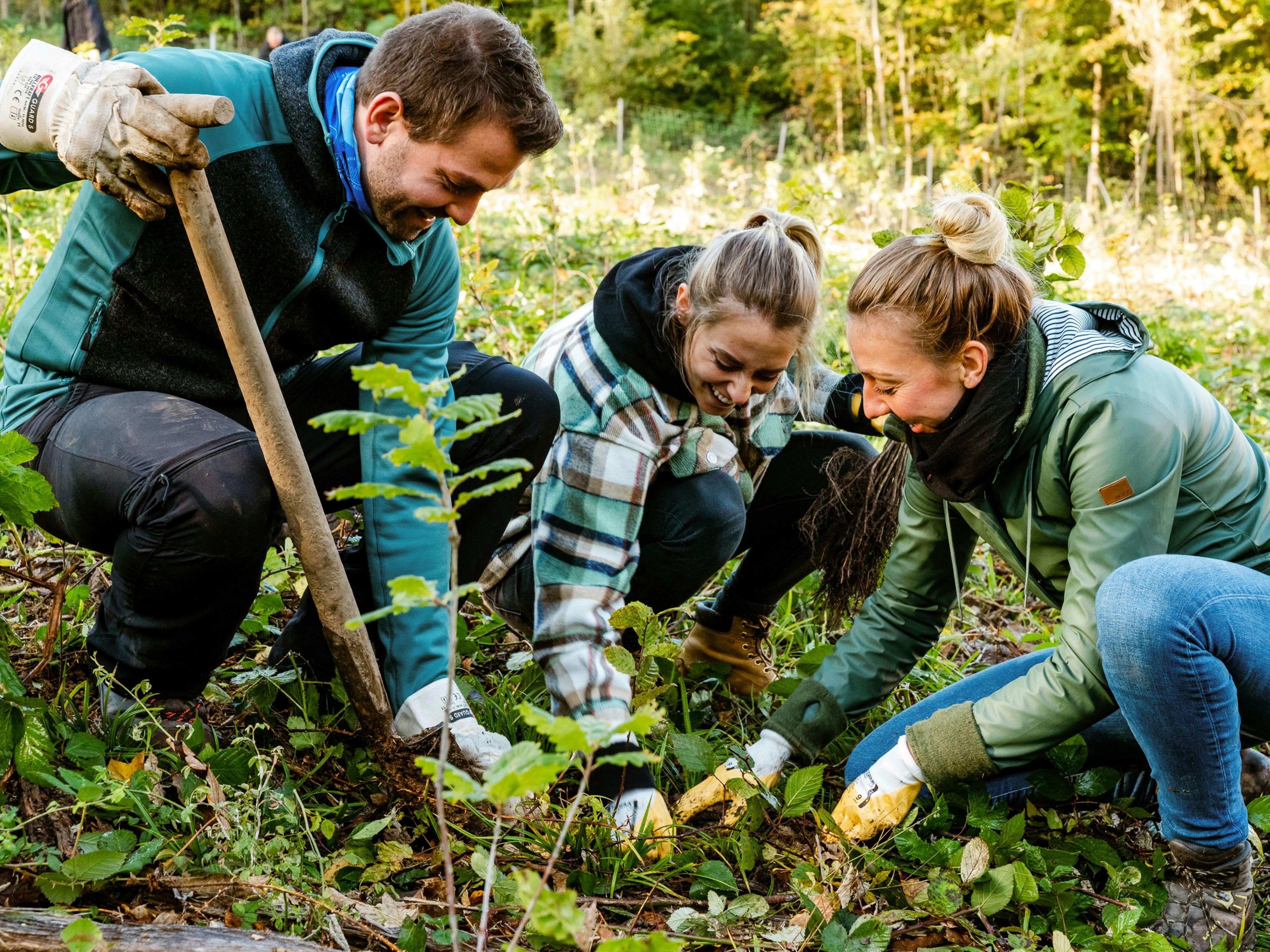 Drei Porsche Mitarbeiter bei der Gartenarbeit.