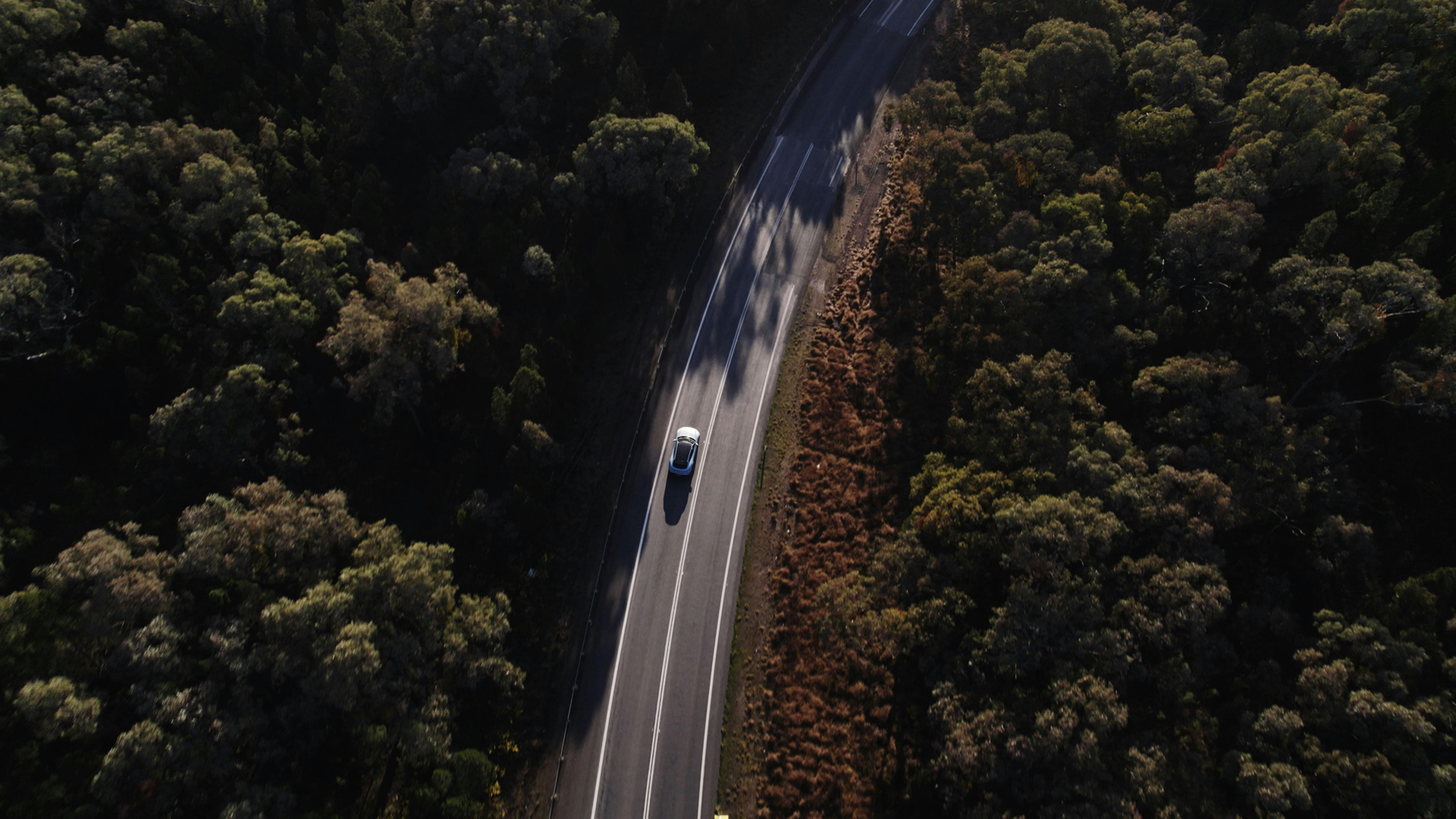 Aerial view of a Porsche Taycan driving on a forest road