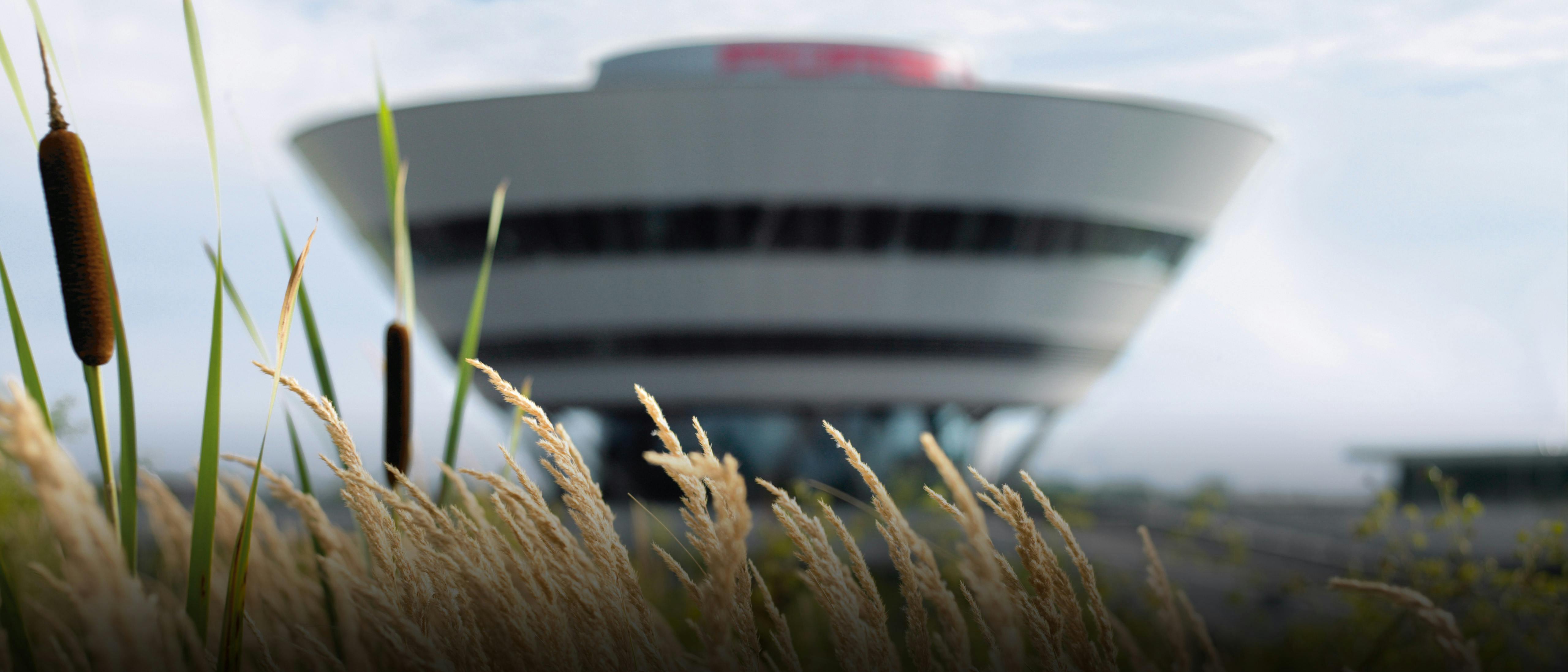 A field of wheat in front of a Porsche building.