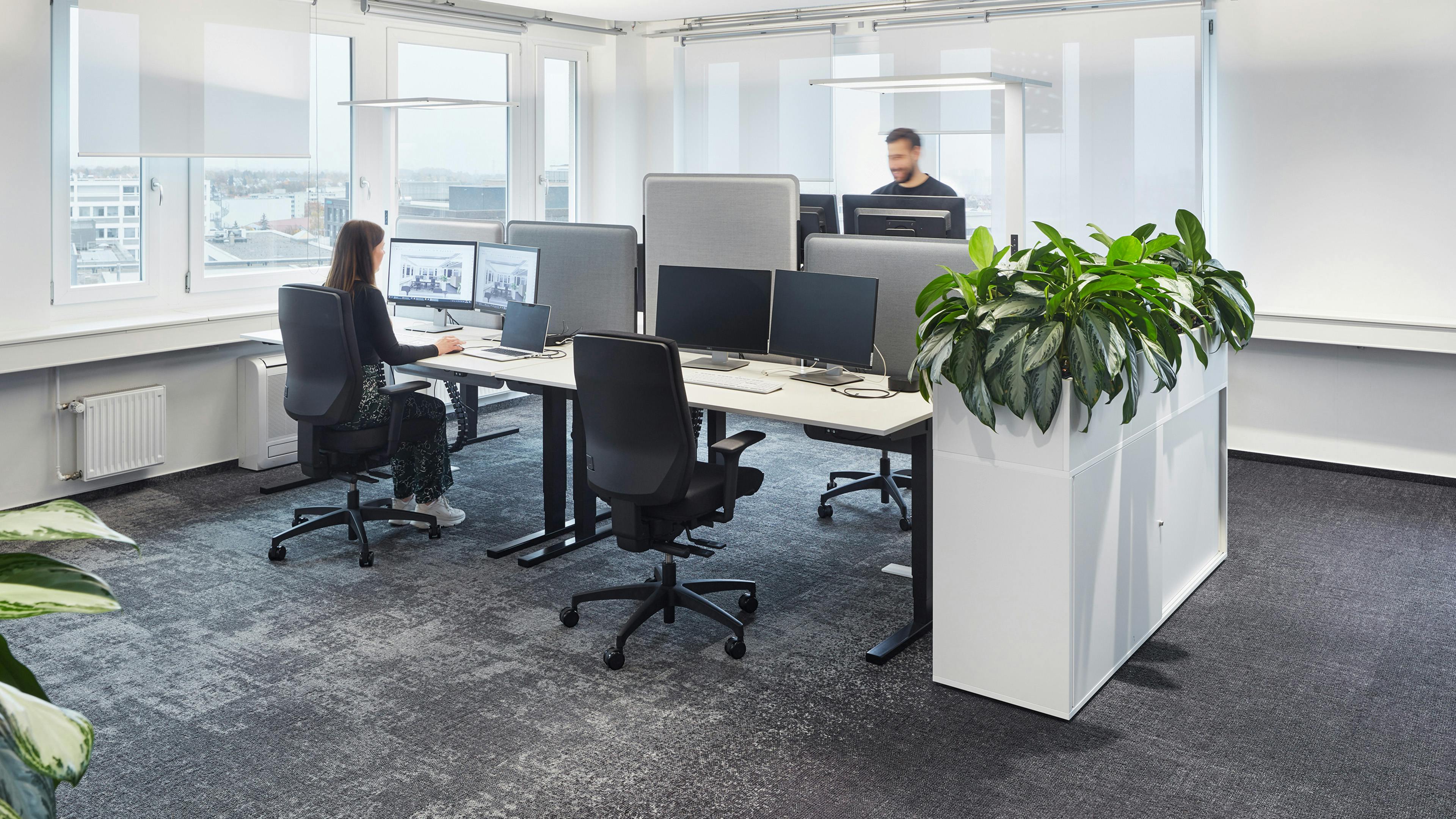 Ein Mann und eine Frau arbeiten konzentriert in einem hellen Eckbüro mit Pflanzen und höhenverstellbaren Schreibtischen
