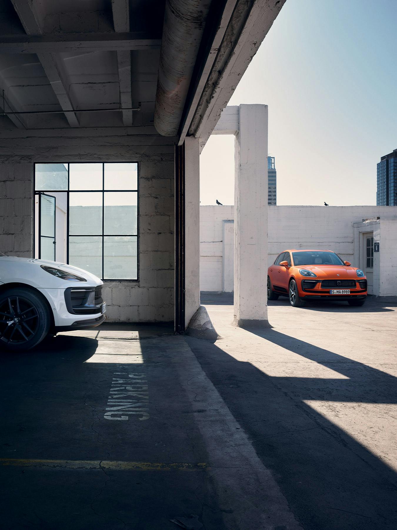 Macan Electric and Macan Electric 4S driving in the sunset.