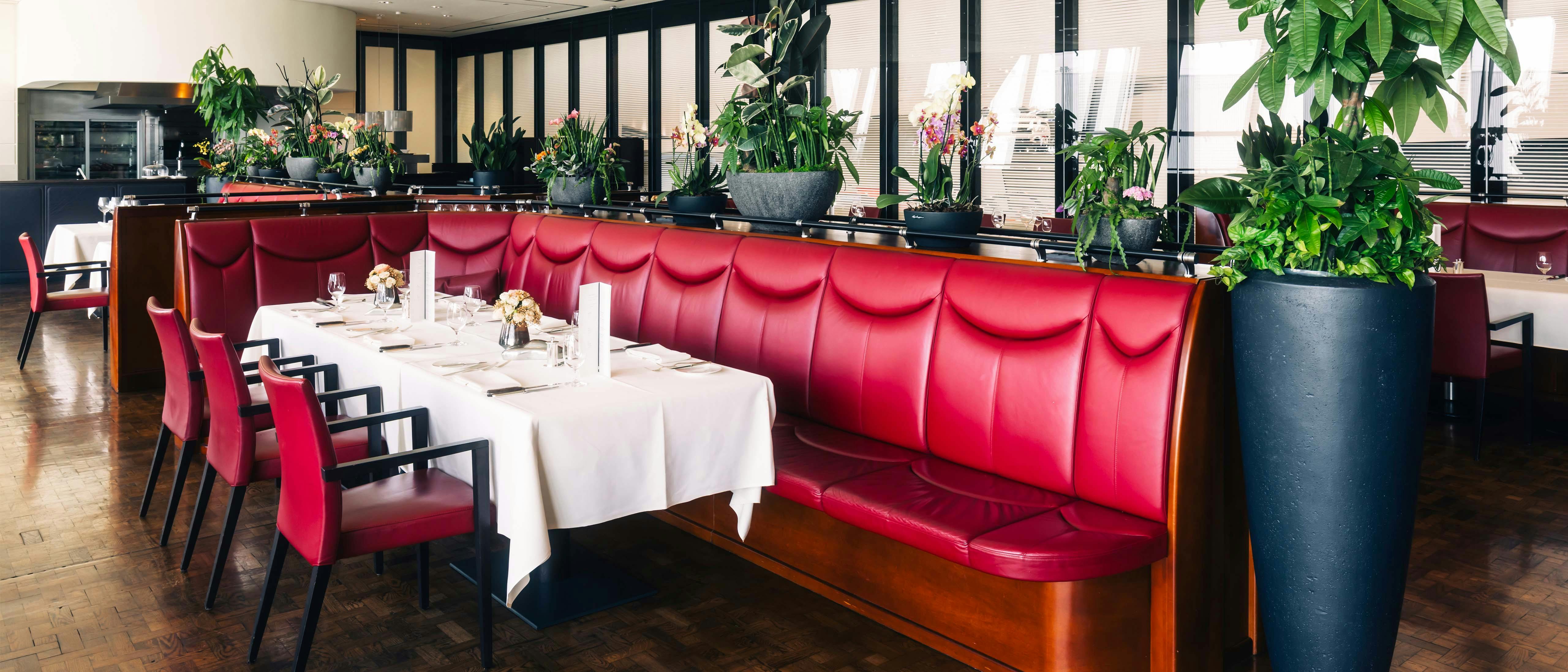 Innenraum des Restaurantbereichs mit roten Polsterbänken, gedeckten Tischen und großen Pflanzen.