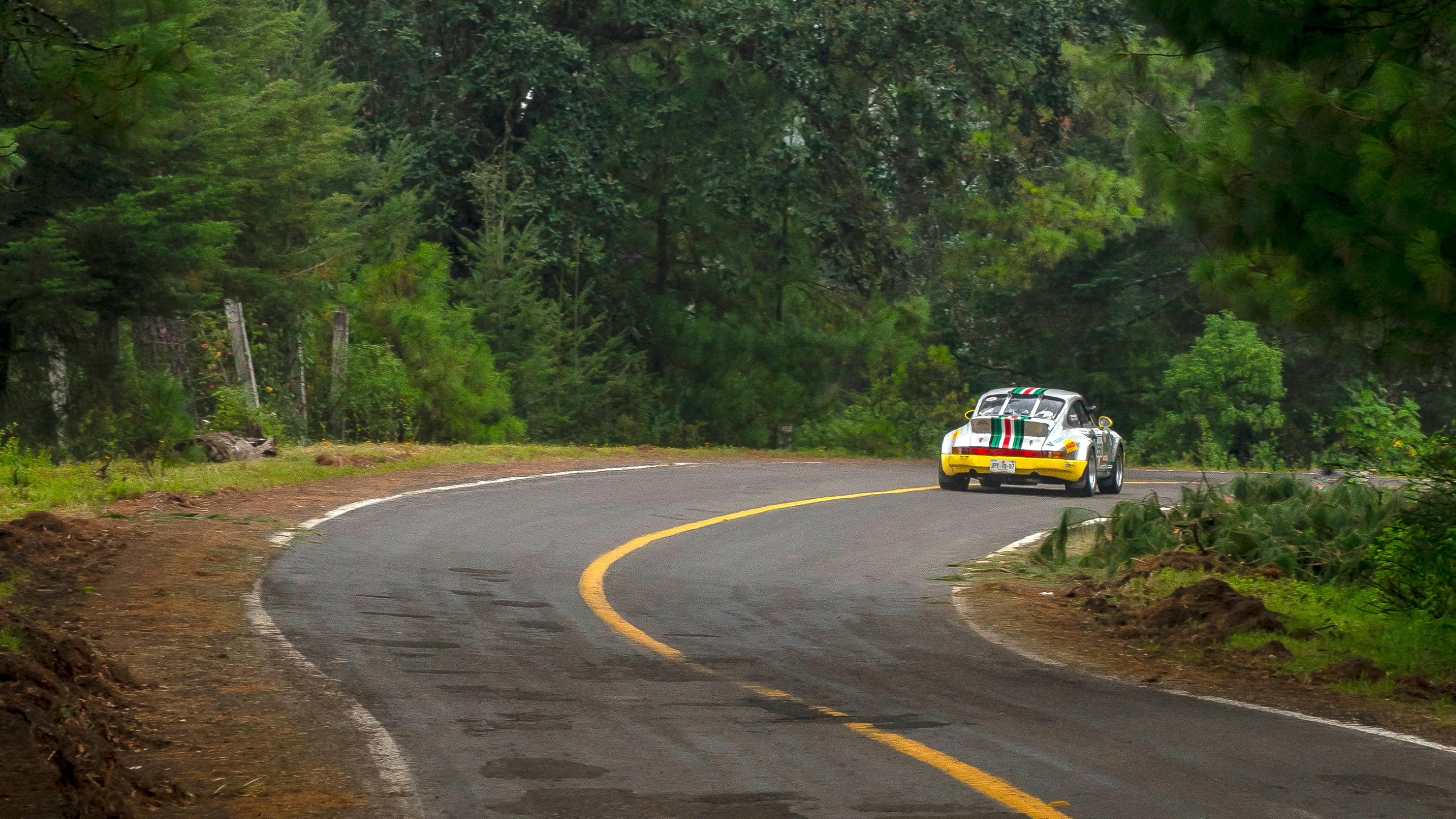 Rear view of a Porsche racing on a highway through a forest.