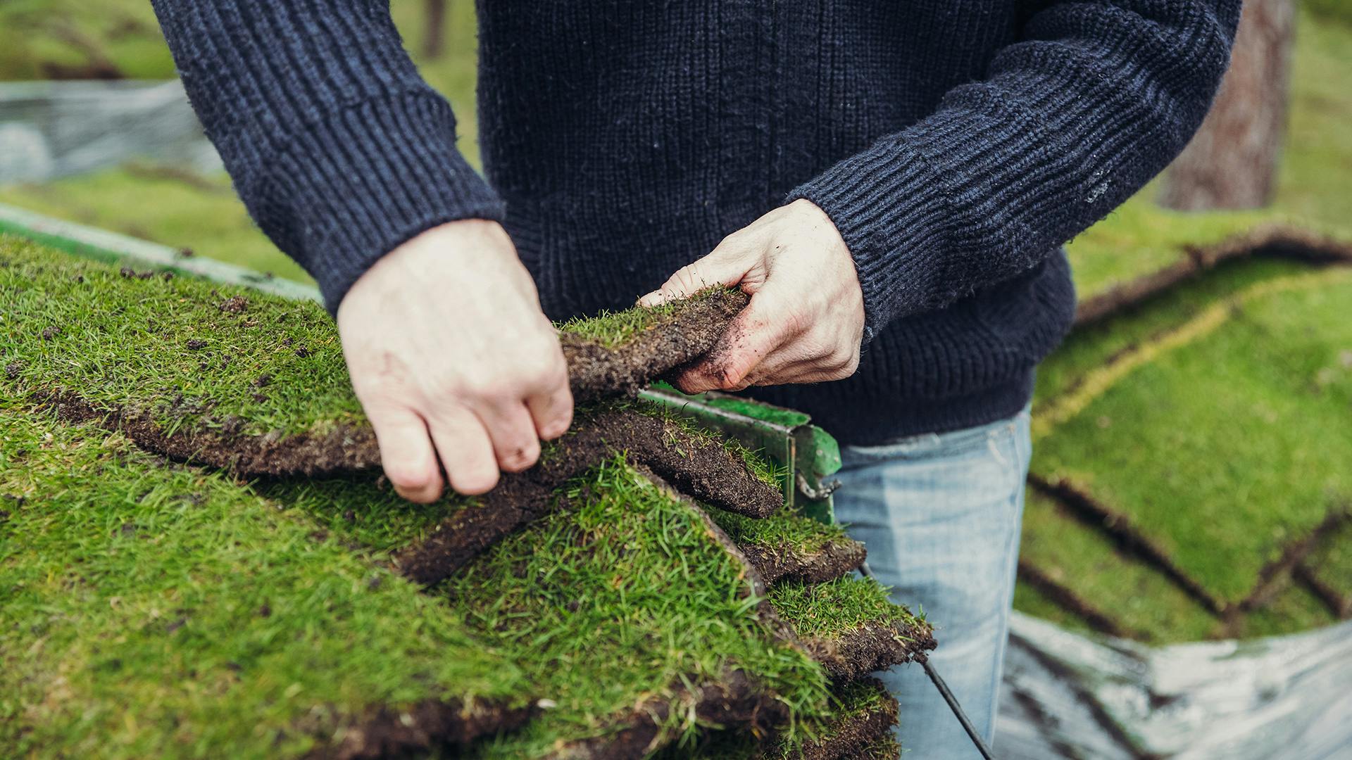 Neues Green wird verlegt
