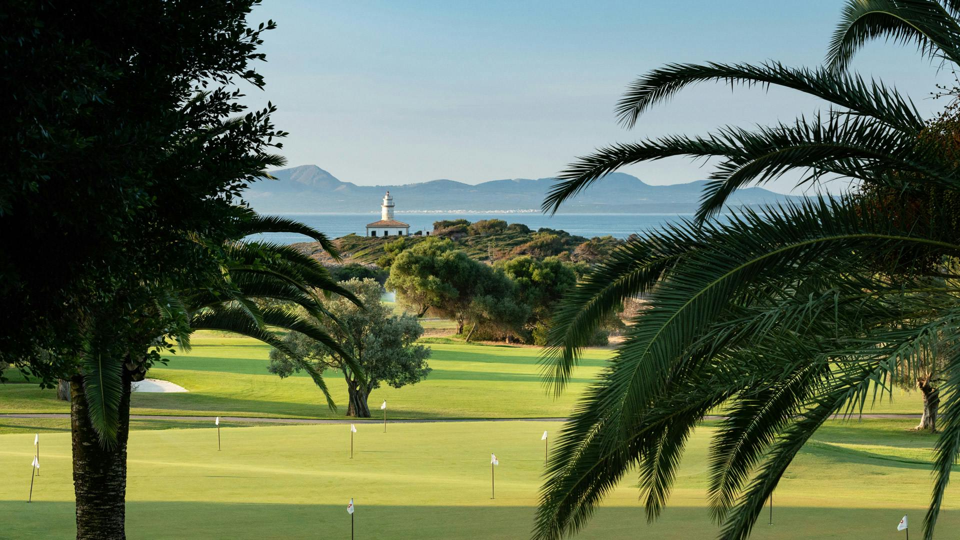 Ein palmenumrahmtes Green mit Meer und Bergen am Horizont